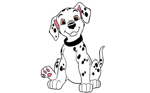 生肖属相是从过了立春开始算的,生肖属相从立春还是春节算