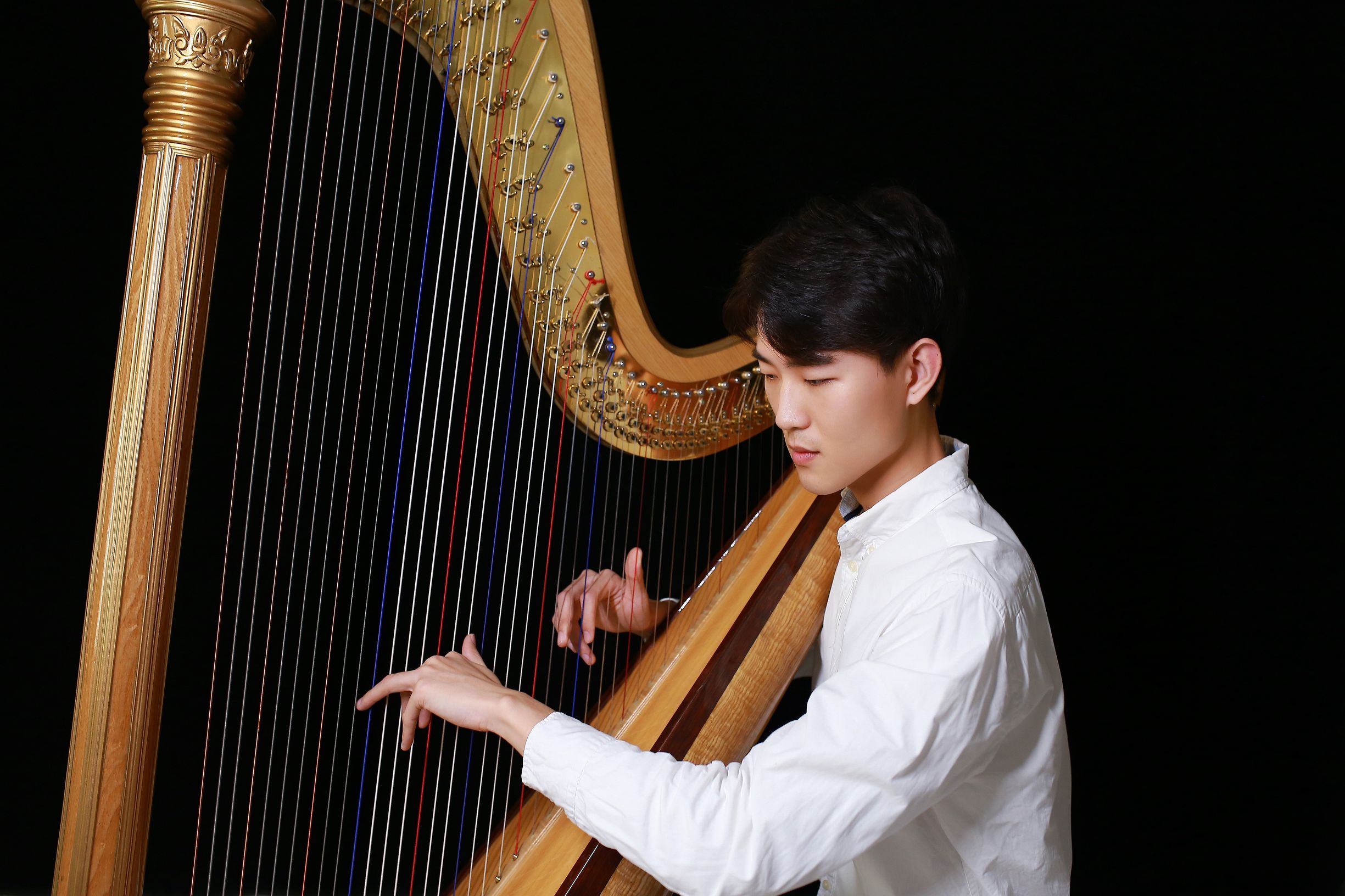 民族乐器与西洋乐器碰撞——竖琴三弦与双簧管新春音乐会将举办