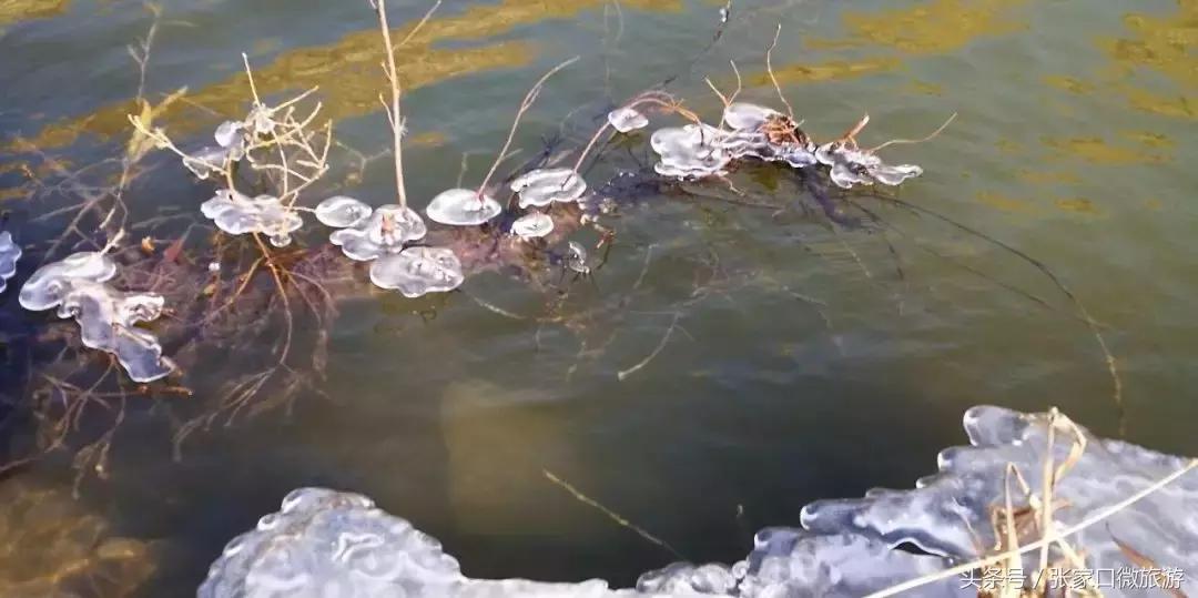 张家口下花园推荐,低调奢华的小城