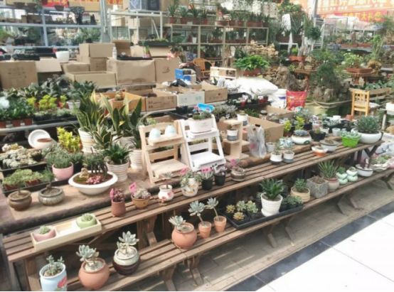 许昌办年货都去哪个广场,许昌年货大集