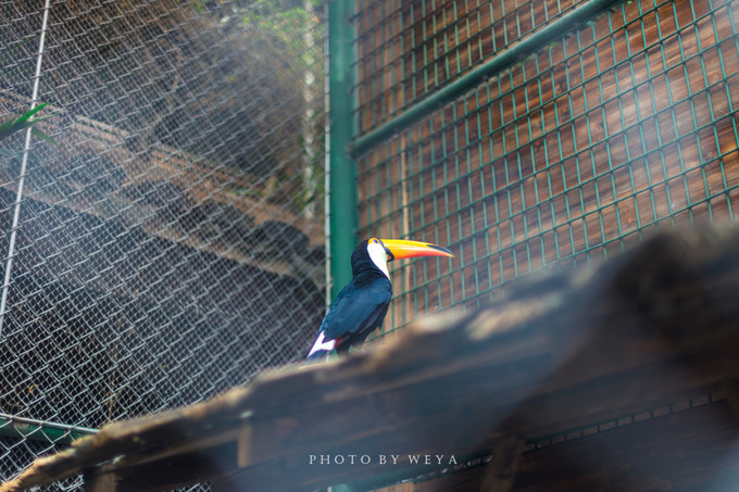 面面旅拍—诉不完千古泪，道不停三亚情，这个冬天我们掌心有太阳