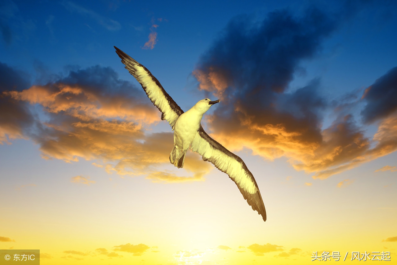 湖南湘西农村适合创业的好项目,农村有什么好的创业项目见效快