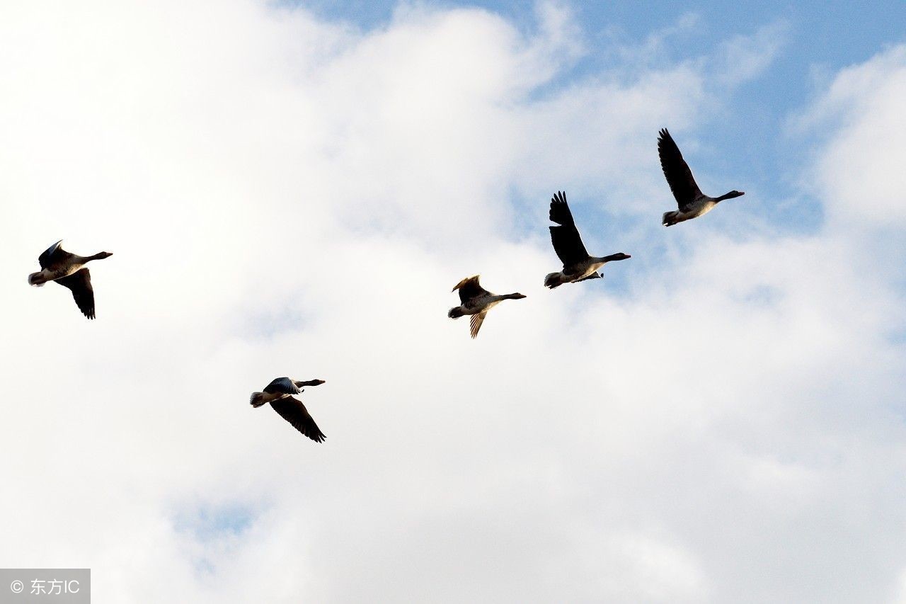 我们为多大的理想与目标而去奋斗,人生的意义就是使命与担当