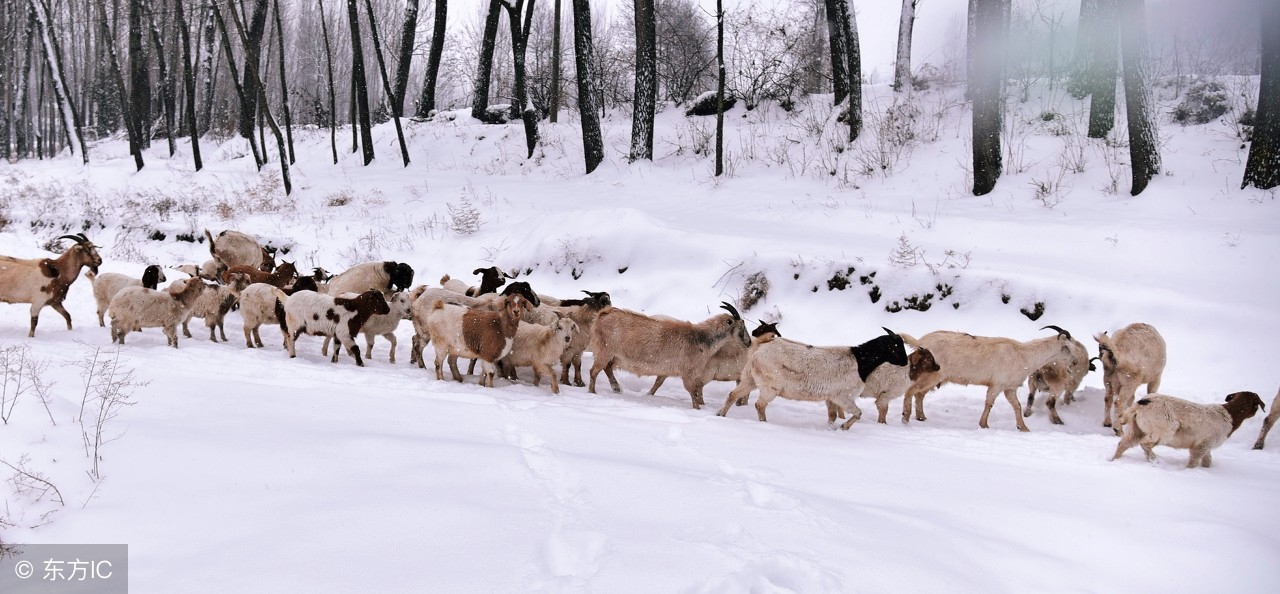 我们为多大的理想与目标而去奋斗,人生的意义就是使命与担当