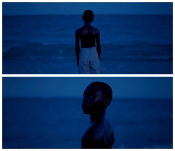 烂番茄上新鲜度100%的男同电影《月光男孩》