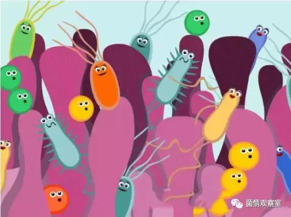 皮肤健康的守护神拔毒止痒王,皮肤守护神药膏臭吗