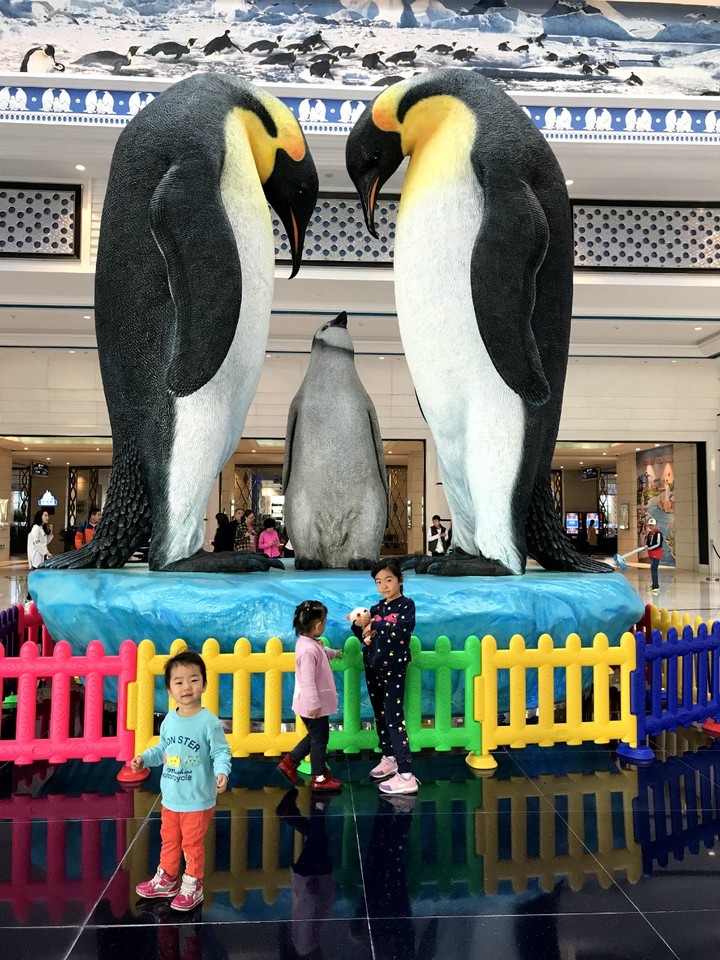 两天一晚珠海长隆旅游攻略,珠海长隆旅行一日游需要准备什么