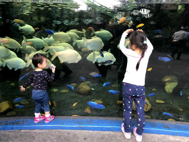 两天一晚珠海长隆旅游攻略,珠海长隆旅行一日游需要准备什么