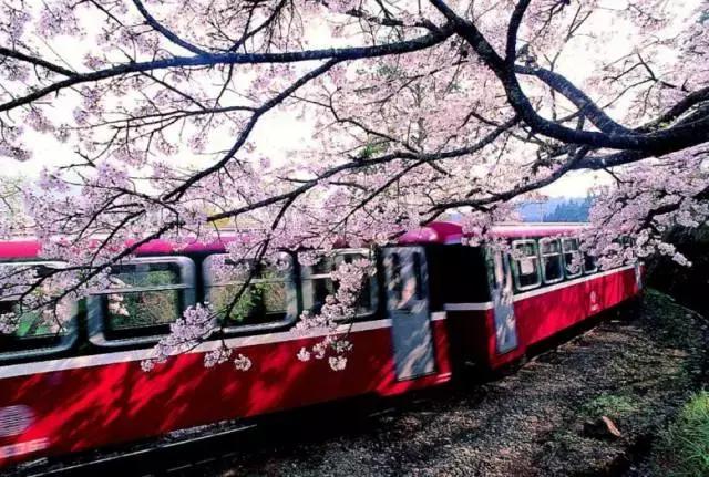 国内风景最好的旅游景点冬天,国内各地最美的十大自驾游线路