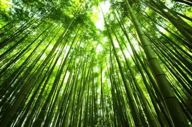 日本旅游攻略镰仓在哪,日本镰仓旅游攻略学生