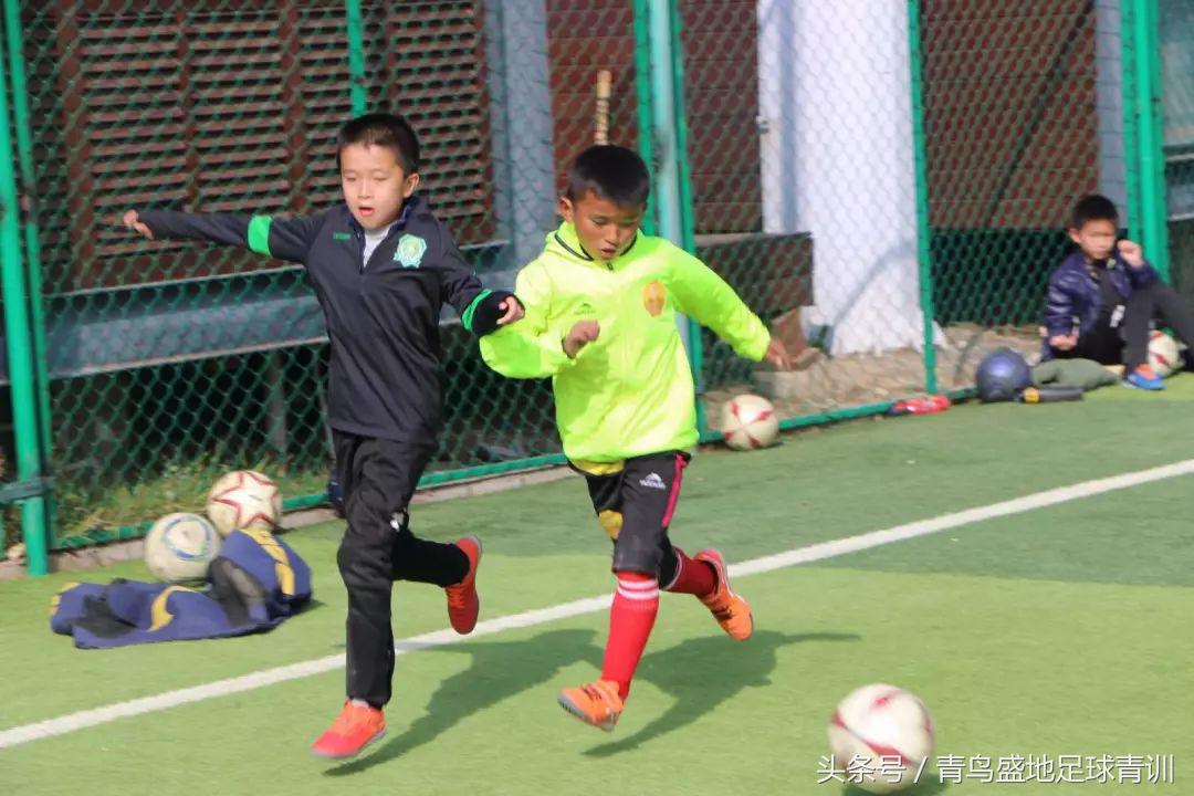 青鸟盛地足球比赛,青鸟盛地足球活动
