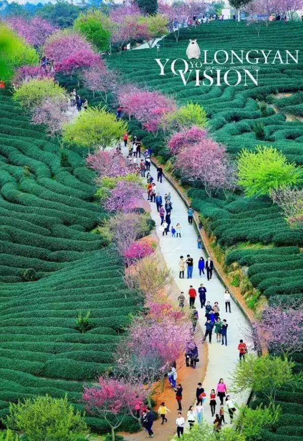 国内风景最好的旅游景点冬天,国内各地最美的十大自驾游线路