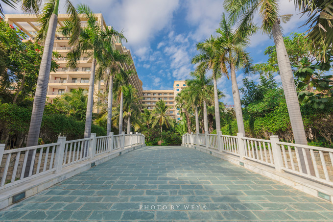 面面旅拍—诉不完千古泪，道不停三亚情，这个冬天我们掌心有太阳