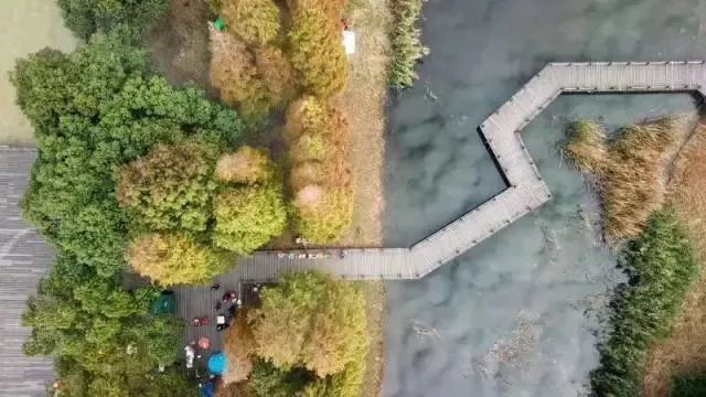 上海17号线朱家角到古镇,上海17号线东方绿舟