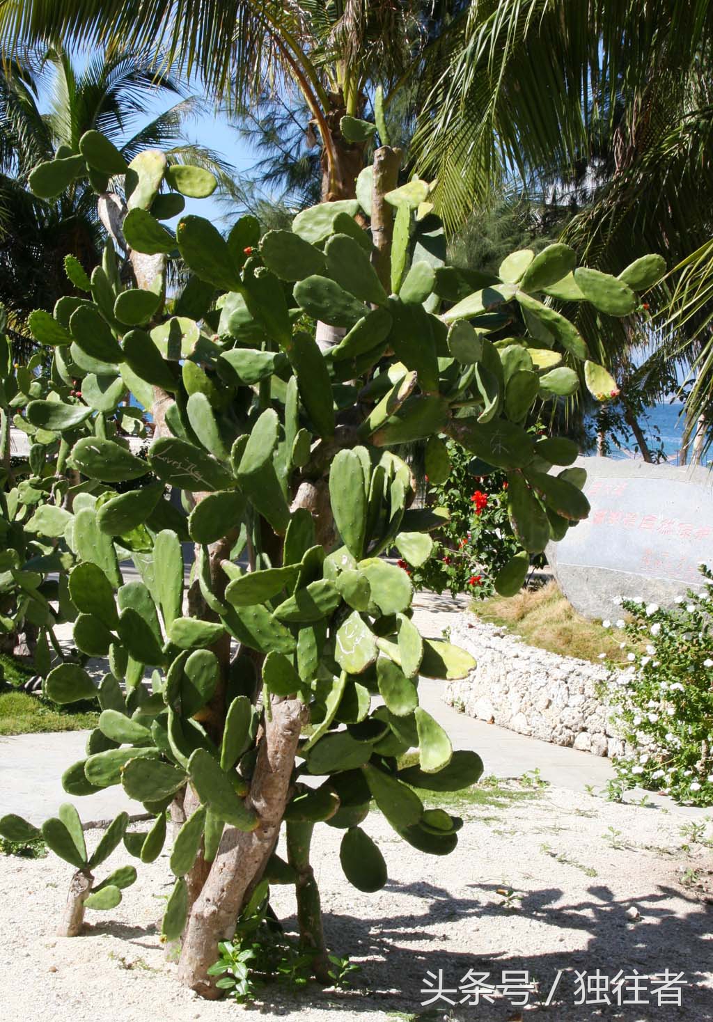 三亚情人湾一个浪漫又静谧的海湾