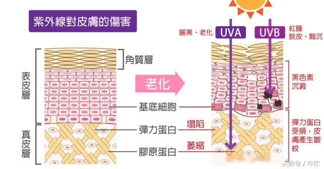 肌肤松弛显毛孔粗大用什么产品,老化型毛孔粗大如何改善小技巧
