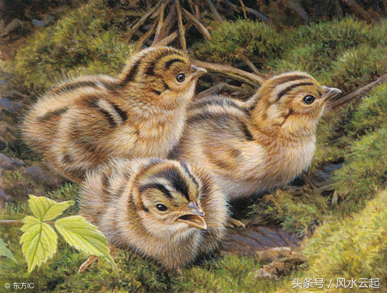 湖南湘西农村适合创业的好项目,农村有什么好的创业项目见效快