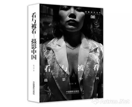 雅昌专访杨小彦：以历史与现实为坐标呈现复杂的当代中国