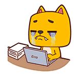 在青岛必做的100件事儿,来青岛必须做的四件事