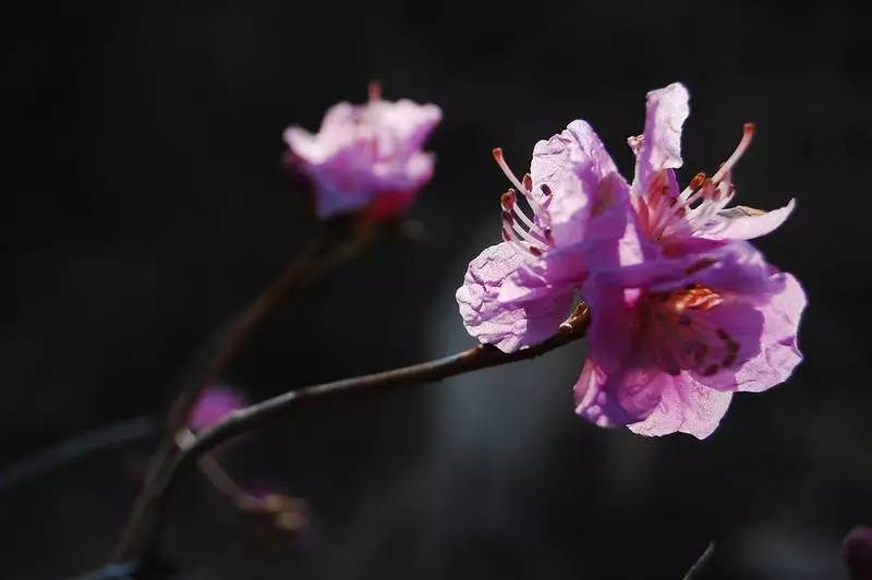 在青岛必做的100件事儿,来青岛必须做的四件事