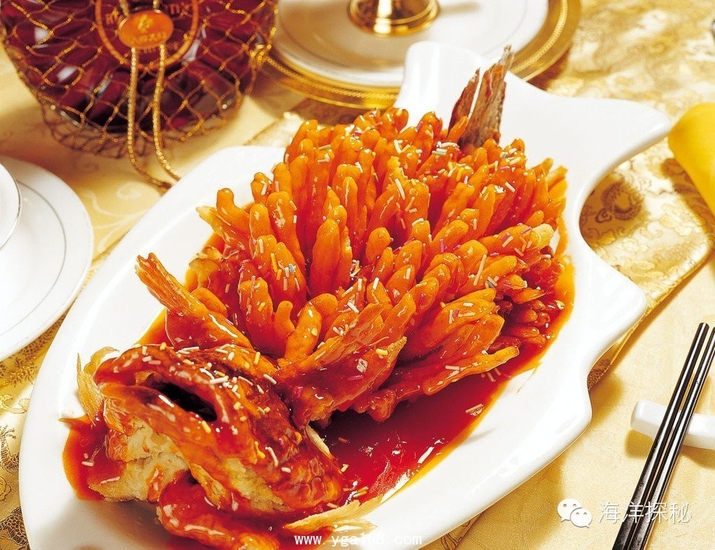 夏天来了，吃什么鱼好呢？