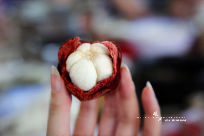 周末越南团进入东兴旅游,节假日去越南旅游怎么样