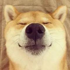 上海各区五一福利,上海免费领取的福利