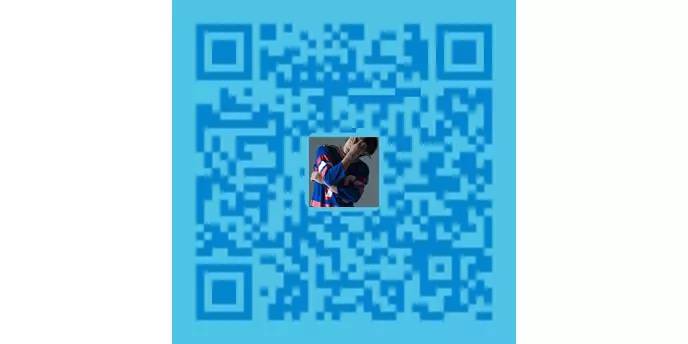 日本手机壳多少钱,日本花虎手机壳