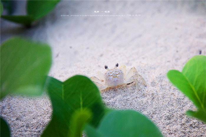 周末越南团进入东兴旅游,节假日去越南旅游怎么样