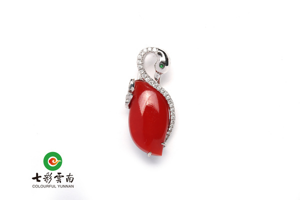 猴年什么颜色最旺,属猴2004年最招财的颜色