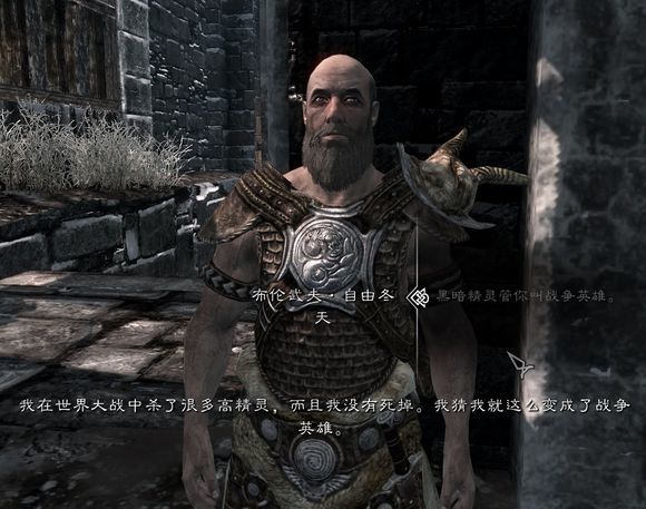 天际省那些参加过世界大战的人们，老滚里的人物录