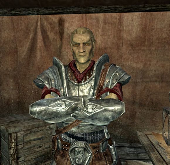 天际省那些参加过世界大战的人们，老滚里的人物录