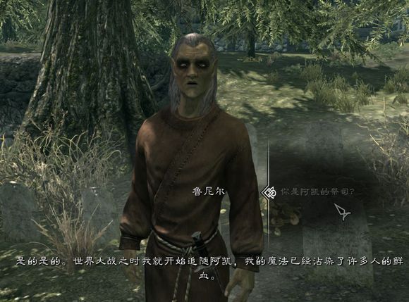 天际省那些参加过世界大战的人们，老滚里的人物录