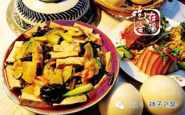 冬天来合阳，赏万顷芦荡，候鸟齐飞（组图）