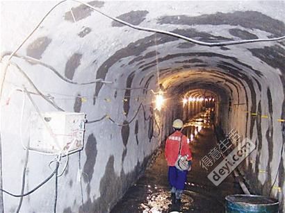 武汉春运绿皮火车,武汉增加公交车次迎春运