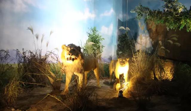 冬天青岛有什么好玩的地方,青岛冬天好玩儿的地方