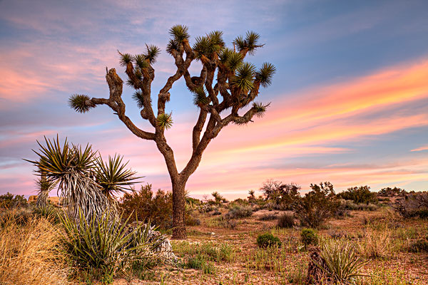 星球大战取景地打卡,探秘星球大战实景拍摄地