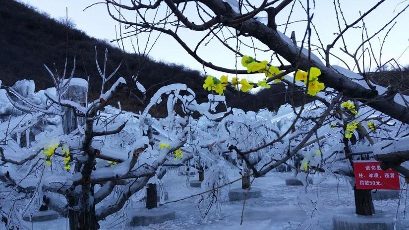 满城龙居冰瀑,满城龙居冰瀑最新视频
