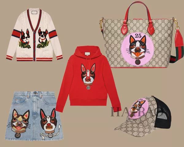 毕竟爱狗｜哈哈哈哈哈哈……听说你们要买狗年单品？我就真的不拦了！