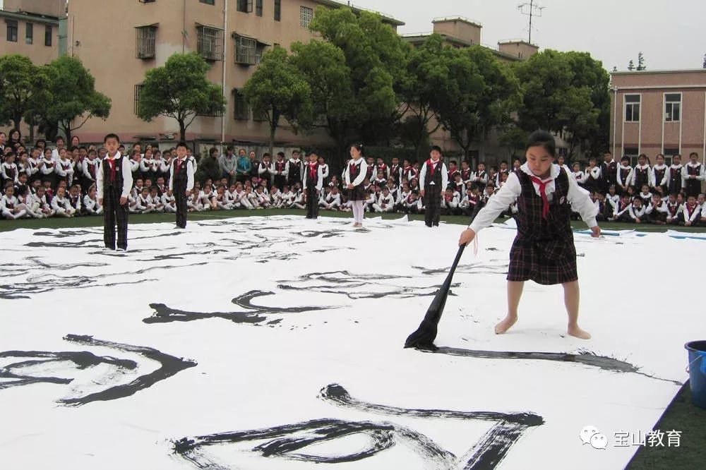 宝山重点大学名单,宝山重点学校