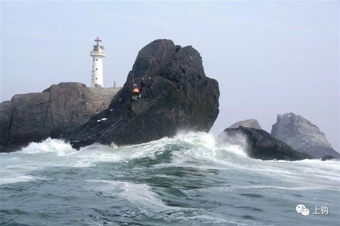 矶钓海钓诱饵笼的用法大全,冬季海钓矶钓用什么假饵最好用