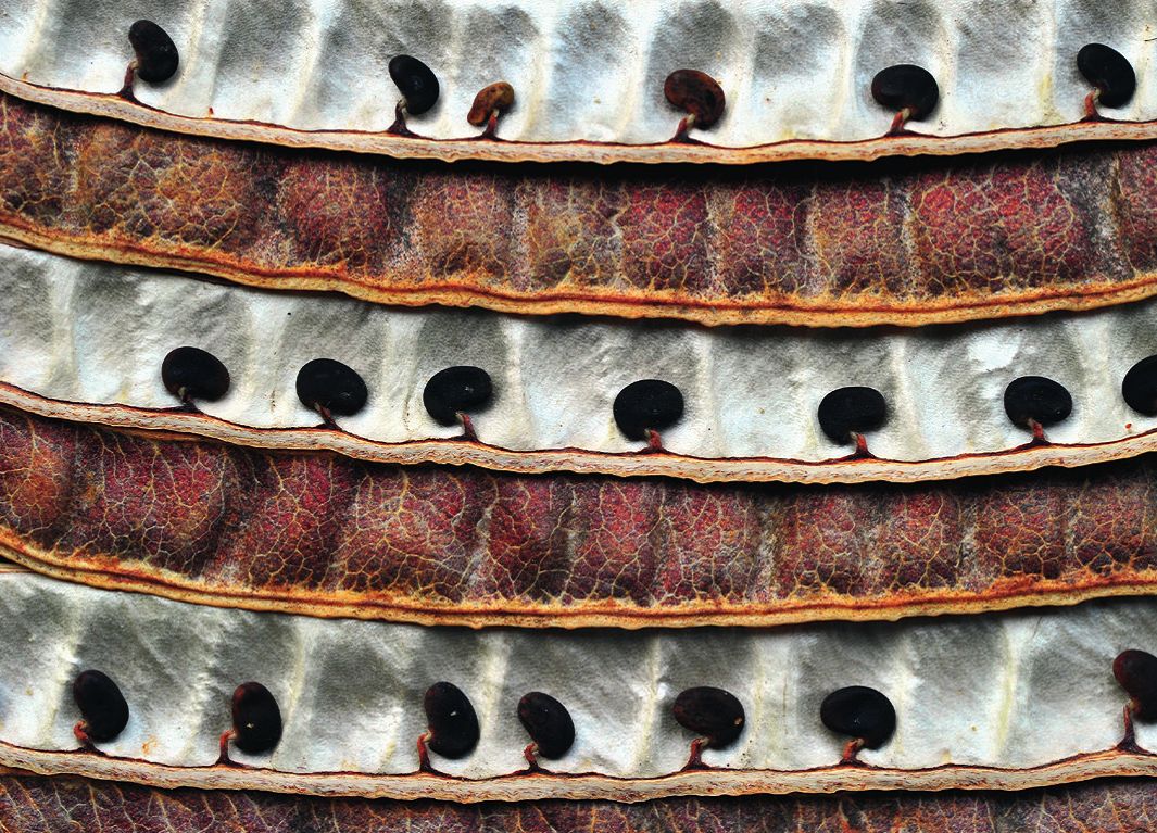 远离城市的自然之美,探寻城市中的自然之美