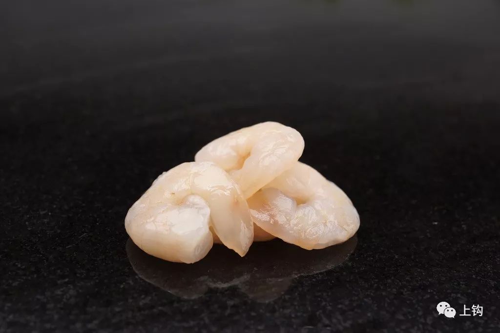 矶钓海钓诱饵笼的用法大全,冬季海钓矶钓用什么假饵最好用