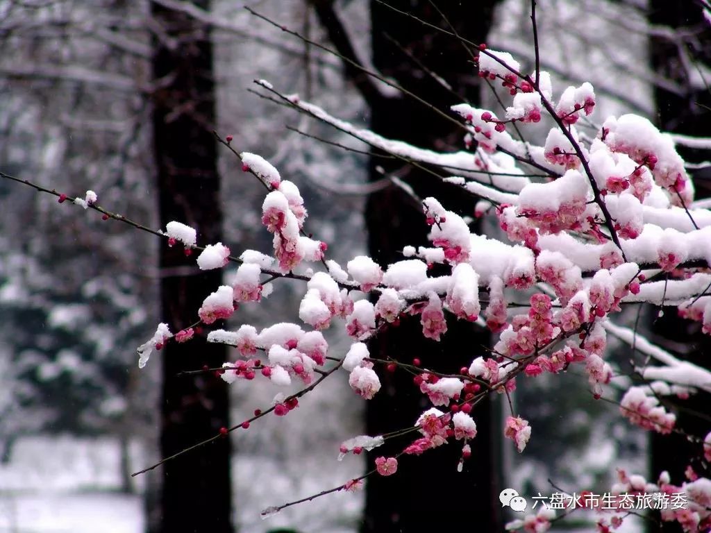 凉都群山别样风光,凉都处处是美景