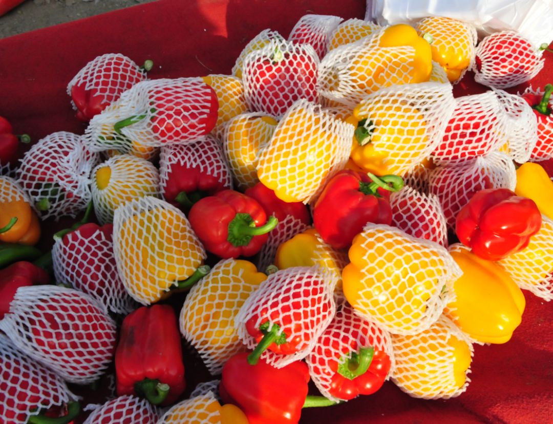 办年货快来坨里赶大集,赶大集办年货浓浓年味迎春节