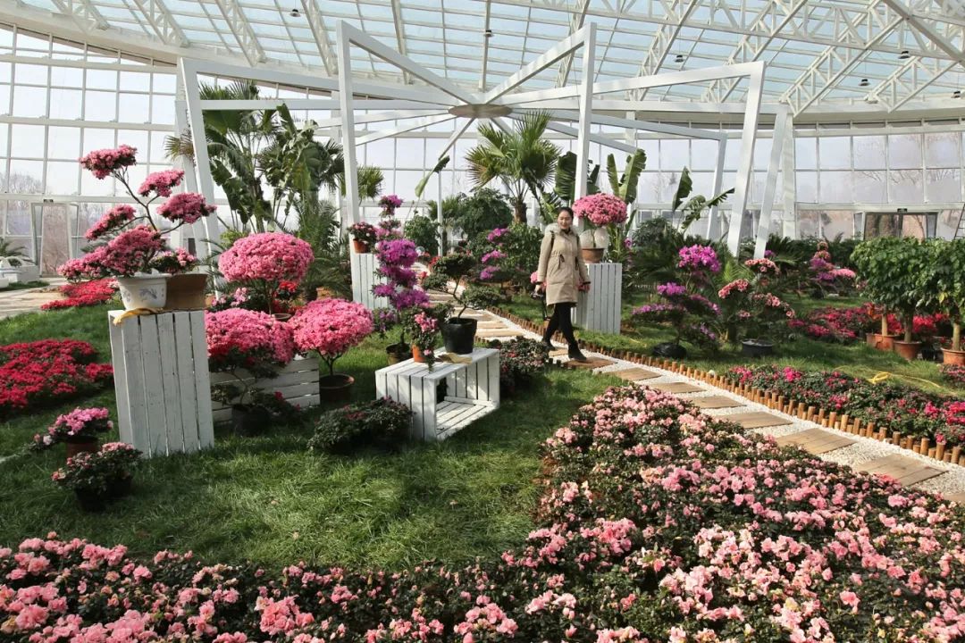 「946·民生」石家庄过年全攻略！医院、银行、演出、商超营业时间地点大汇总！