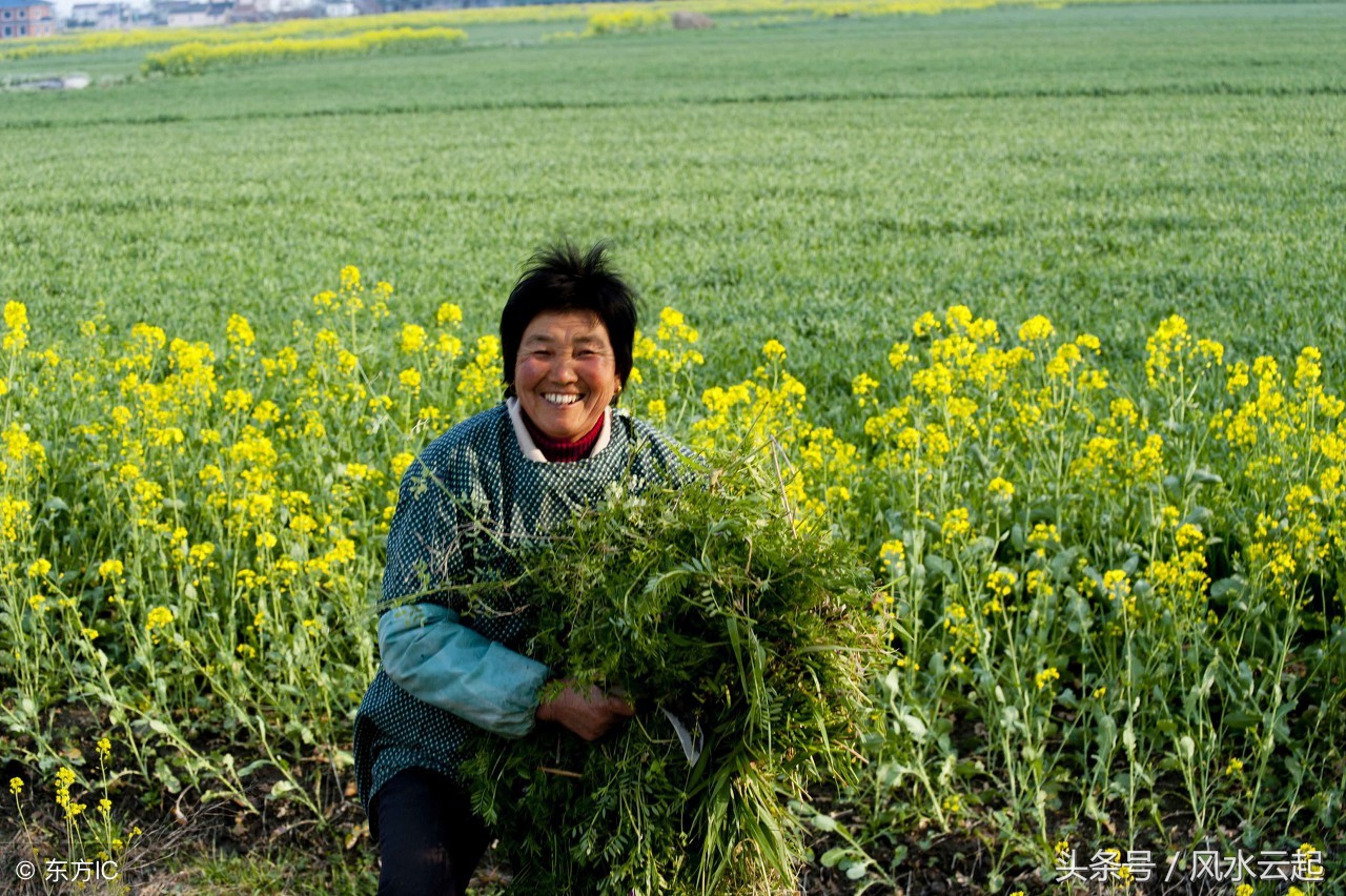 湖南湘西农村适合创业的好项目,农村有什么好的创业项目见效快