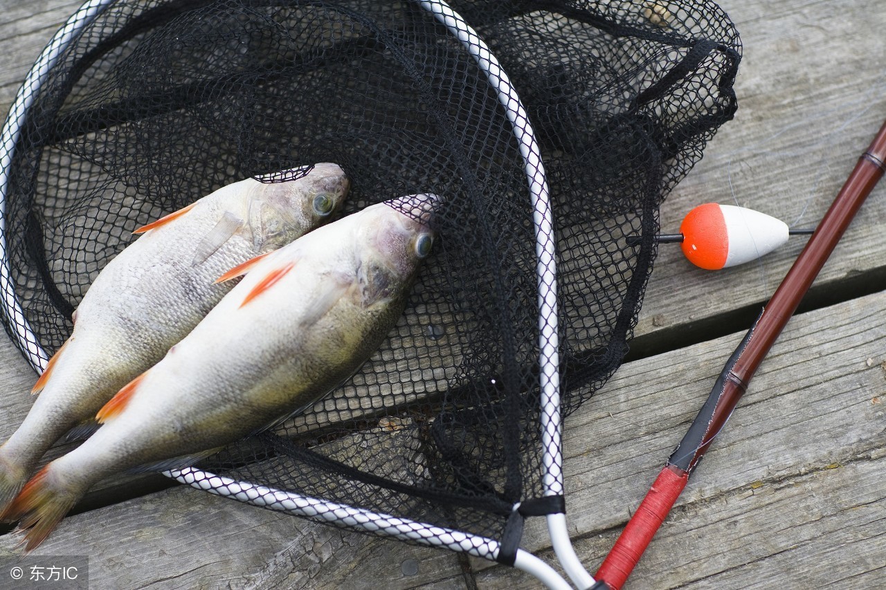 野钓防小鱼的土方法,钓鱼新手遇到小鱼怎么钓