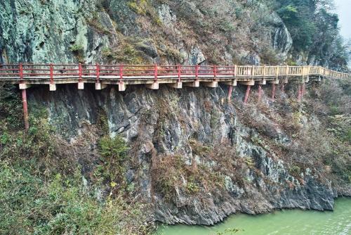 王者光荣光荣称号野区霸主,王者光荣野区之王