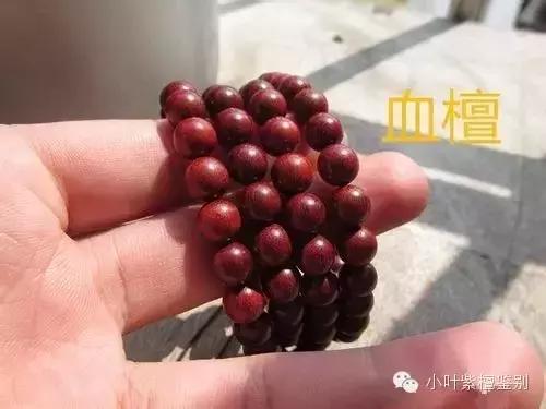 赞比亚血檀和印度小叶紫檀纹理,血檀和小叶紫檀手串对比图